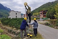 5132f894d7295229